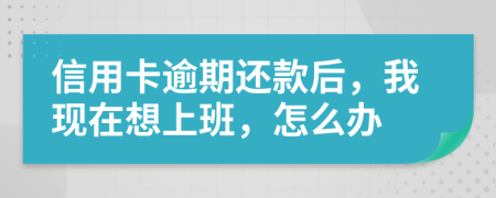 信用卡逾期还款后，我现在想上班，怎么办