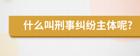 什么叫刑事纠纷主体呢?