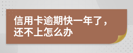 信用卡逾期快一年了，还不上怎么办