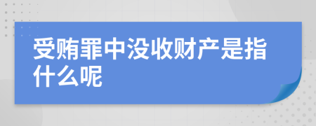 受贿罪中没收财产是指什么呢