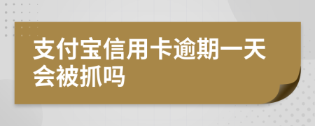 支付宝信用卡逾期一天会被抓吗