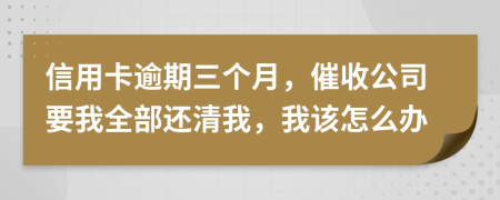 信用卡逾期三个月，催收公司要我全部还清我，我该怎么办