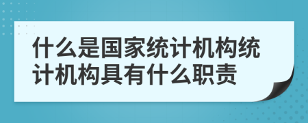 什么是国家统计机构统计机构具有什么职责