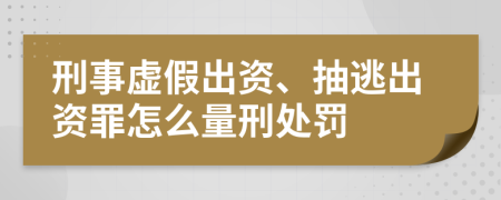 刑事虚假出资、抽逃出资罪怎么量刑处罚