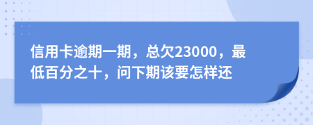 信用卡逾期一期，总欠23000，最低百分之十，问下期该要怎样还