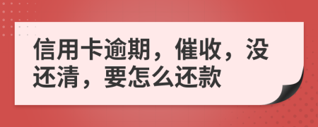 信用卡逾期，催收，没还清，要怎么还款