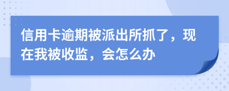 信用卡逾期被派出所抓了，现在我被收监，会怎么办