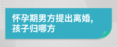 怀孕期男方提出离婚,孩子归哪方