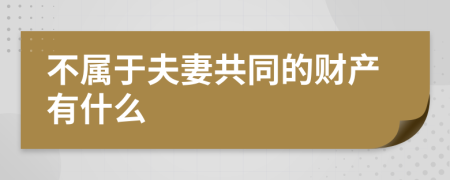 不属于夫妻共同的财产有什么