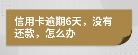 信用卡逾期6天，没有还款，怎么办