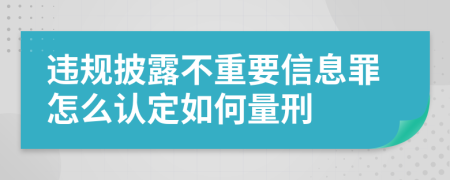 违规披露不重要信息罪怎么认定如何量刑