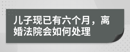 儿子现已有六个月，离婚法院会如何处理