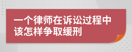 一个律师在诉讼过程中该怎样争取缓刑
