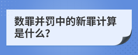 数罪并罚中的新罪计算是什么？