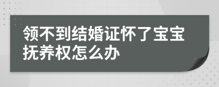 领不到结婚证怀了宝宝抚养权怎么办