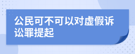 公民可不可以对虚假诉讼罪提起