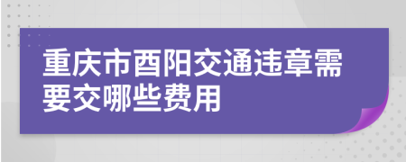 重庆市酉阳交通违章需要交哪些费用