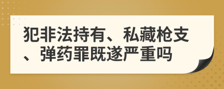 犯非法持有、私藏枪支、弹药罪既遂严重吗