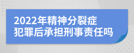 2022年精神分裂症犯罪后承担刑事责任吗