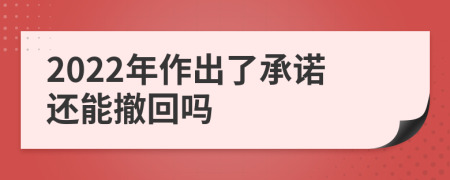 2022年作出了承诺还能撤回吗