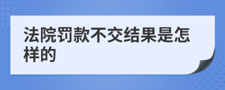 法院罚款不交结果是怎样的