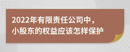 2022年有限责任公司中，小股东的权益应该怎样保护