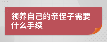 领养自己的亲侄子需要什么手续