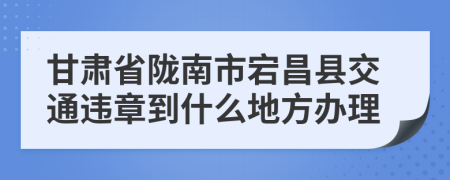 甘肃省陇南市宕昌县交通违章到什么地方办理