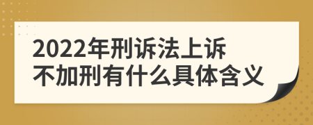 2022年刑诉法上诉不加刑有什么具体含义