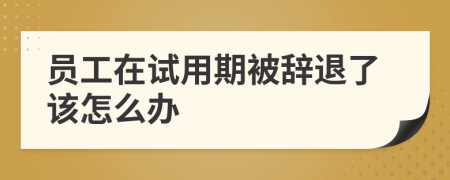 员工在试用期被辞退了该怎么办