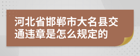 河北省邯郸市大名县交通违章是怎么规定的