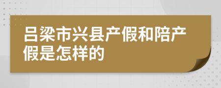 吕梁市兴县产假和陪产假是怎样的