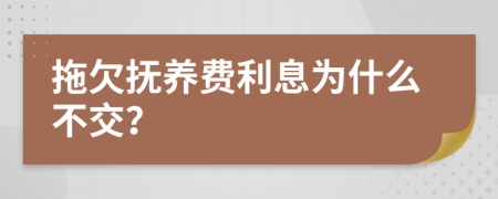 拖欠抚养费利息为什么不交？