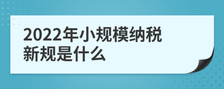 2022年小规模纳税新规是什么