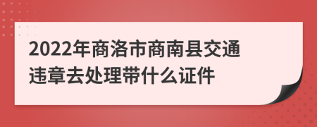 2022年商洛市商南县交通违章去处理带什么证件