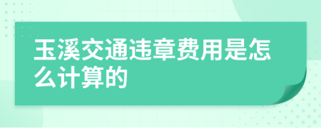 玉溪交通违章费用是怎么计算的