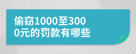 偷窃1000至3000元的罚款有哪些