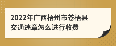 2022年广西梧州市苍梧县交通违章怎么进行收费