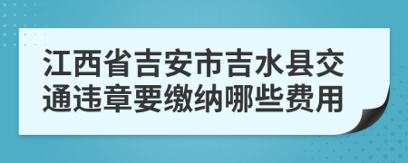 江西省吉安市吉水县交通违章要缴纳哪些费用