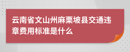 云南省文山州麻栗坡县交通违章费用标准是什么