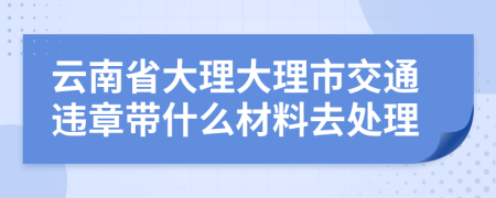 云南省大理大理市交通违章带什么材料去处理