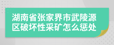 湖南省张家界市武陵源区破坏性采矿怎么惩处
