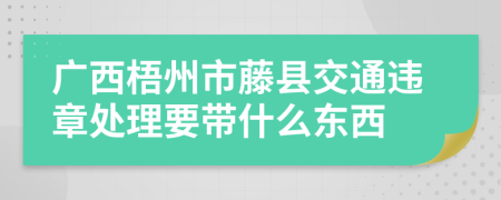 广西梧州市藤县交通违章处理要带什么东西