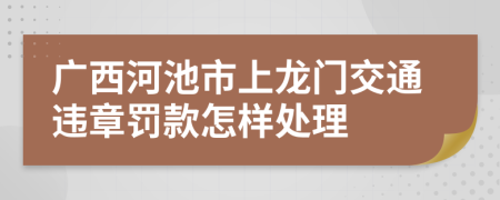 广西河池市上龙门交通违章罚款怎样处理