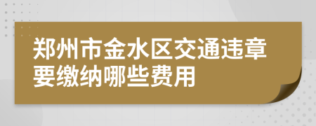 郑州市金水区交通违章要缴纳哪些费用