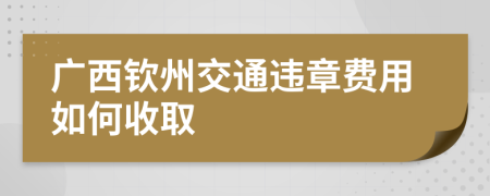 广西钦州交通违章费用如何收取