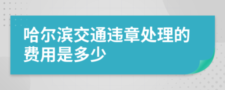 哈尔滨交通违章处理的费用是多少