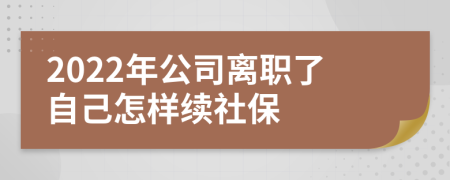 2022年公司离职了自己怎样续社保