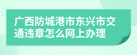 广西防城港市东兴市交通违章怎么网上办理