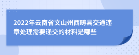 2022年云南省文山州西畴县交通违章处理需要递交的材料是哪些